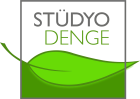 cropped logo 02 stdenge.png